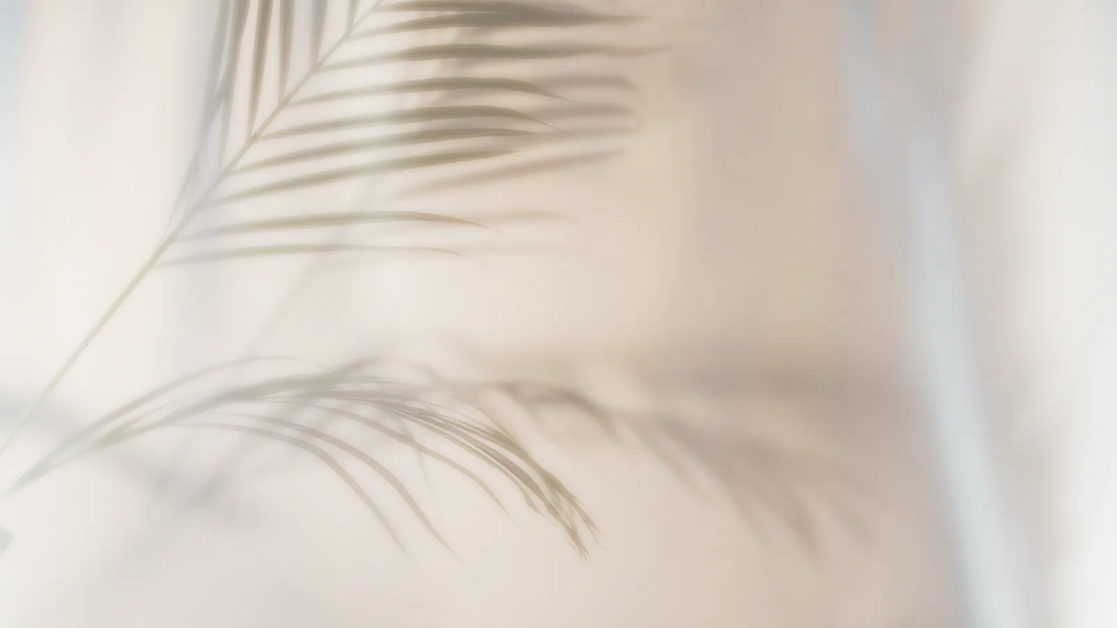 Centro de Reiki e Meditação Clássica