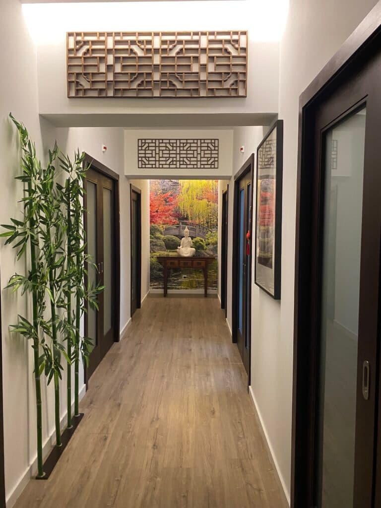 Centro Terapias Chinesas - Acupuntura Lisboa