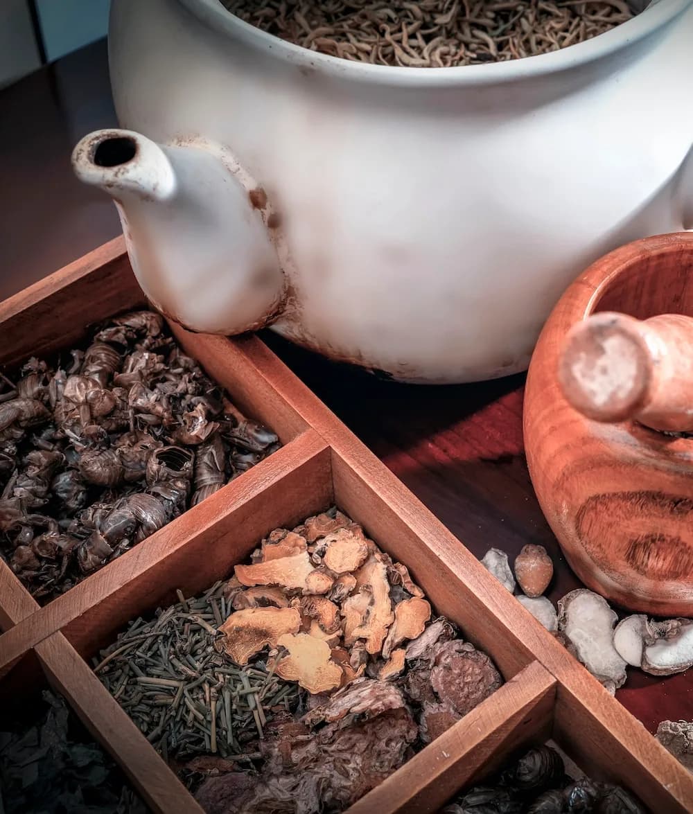 Clínica de Medicina Chinesa - Acupuntura e Fitoterapia