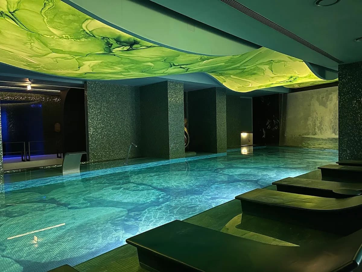 Laurea Spa